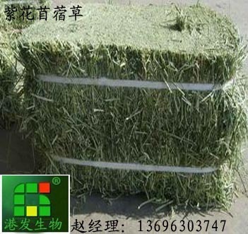供应紫花苜蓿草苜蓿草粉牧草_饲料及添加剂_粮油、牲畜、园林_供应_宏图网