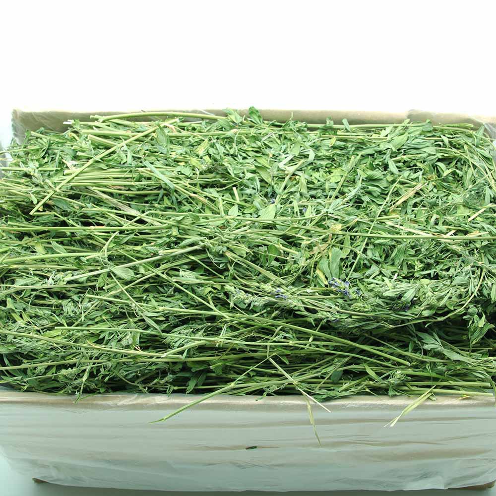 2023年紫花苜蓿草新草干草兔子龙猫烘干牧草豚鼠草粮饲料