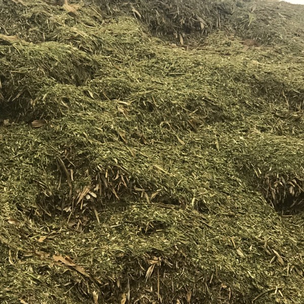 青储草 秸秆 青贮 牛羊饲料 牧草